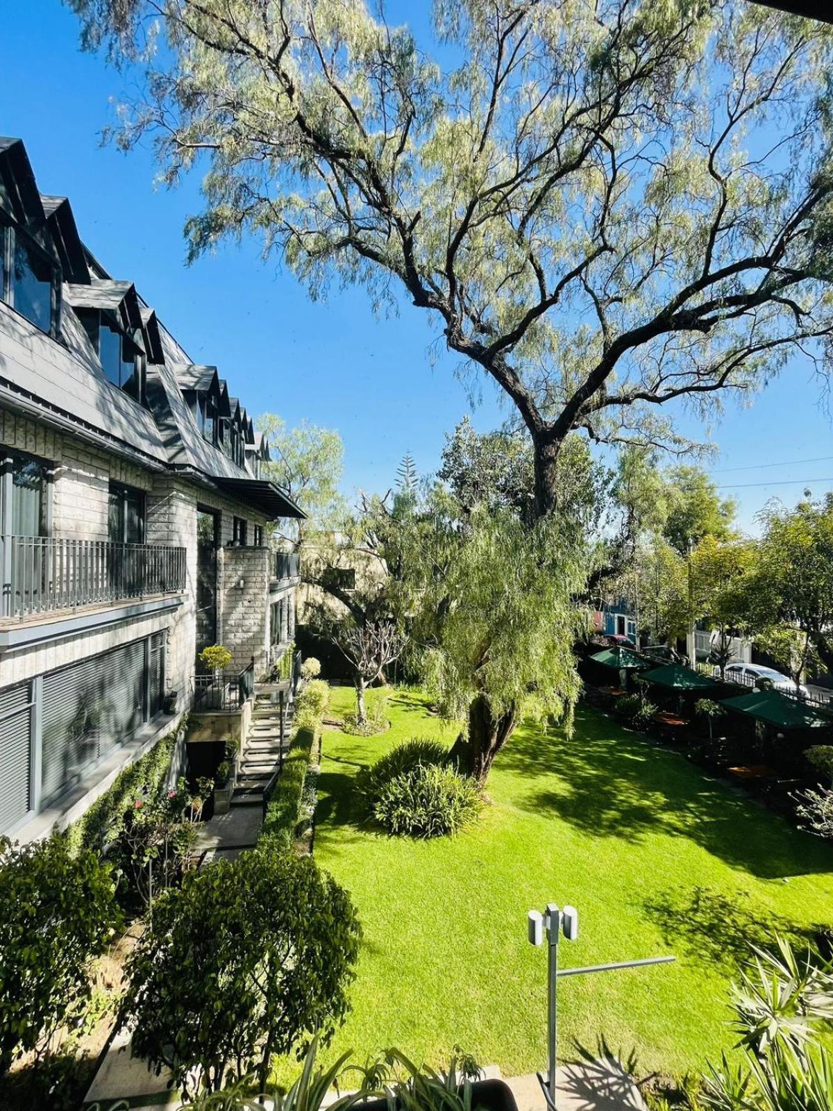 Hotel Casagrande 아레키파 외부 사진